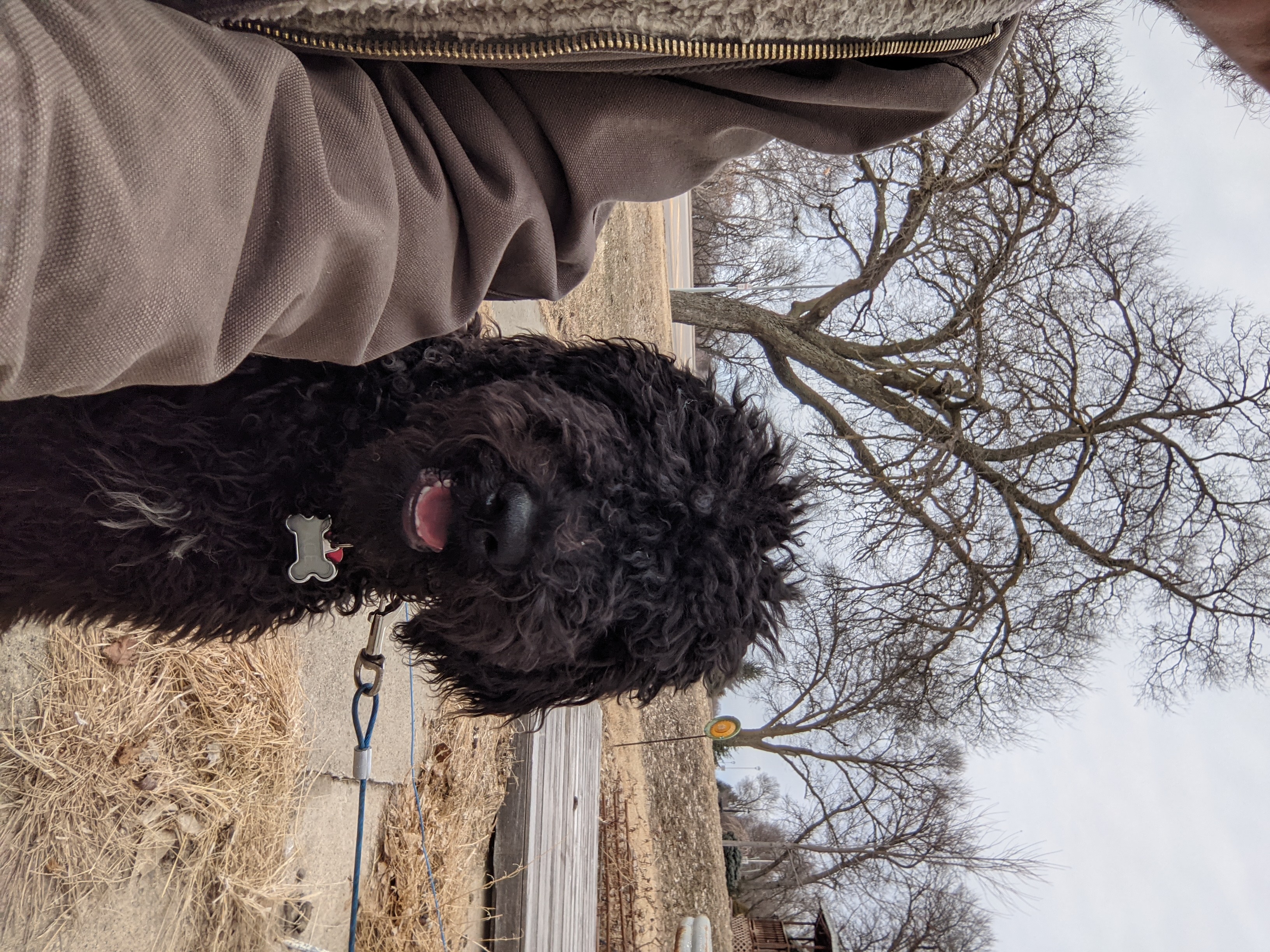 Ace before his first haircut